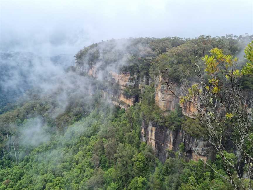 Starkeys lookout, Fitzroy Falls, NSW