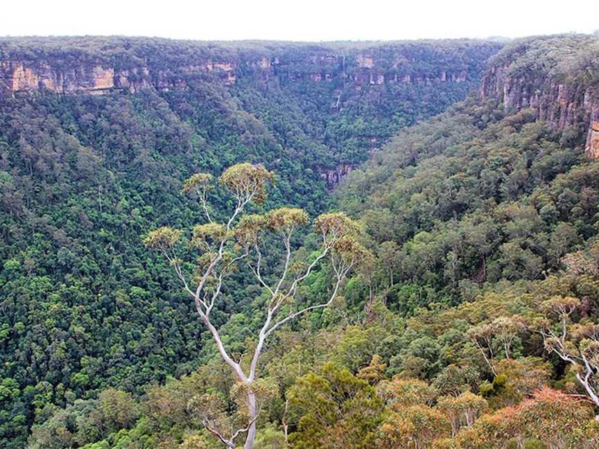 Yarrunga lookout, Fitzroy Falls, NSW
