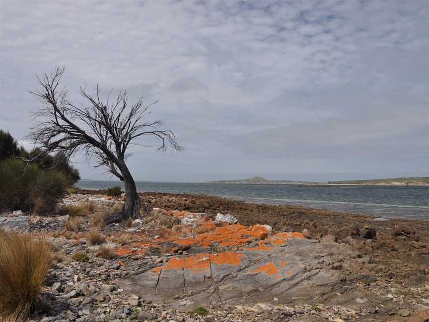 Drive Discovery South East Coast Flinders Island, Lady Barron, TAS