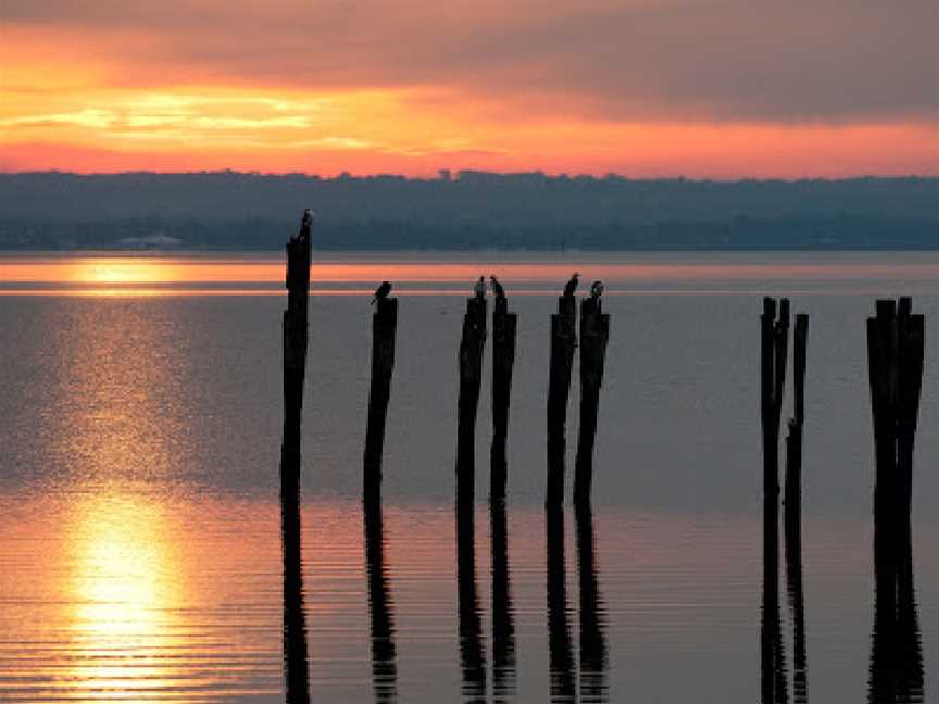 French Island National Park, French Island, VIC