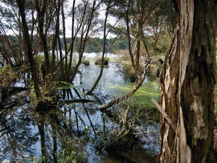 French Island National Park, French Island, VIC