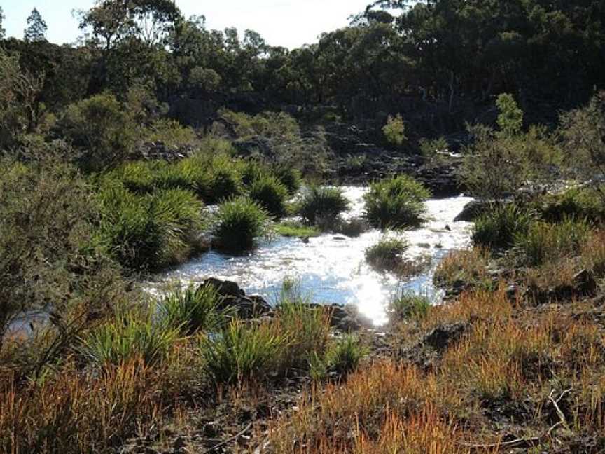 Kings Plains National Park, Gilgai, NSW