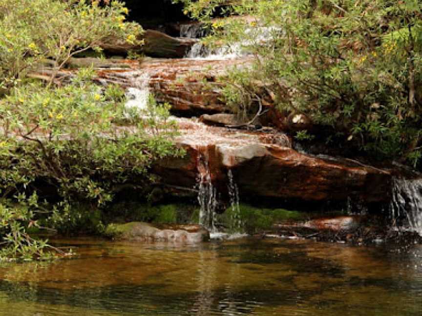 Popran National Park, Glenworth Valley, NSW