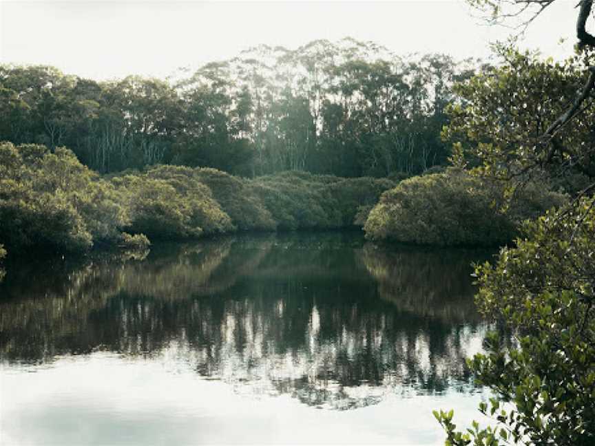 Kooloonbung Creek Nature Reserve and Historic Cemetery, Port Macquarie, NSW