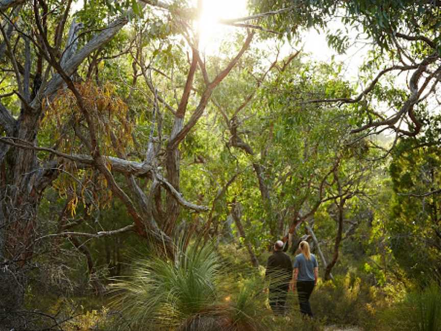 The Piccaninny (Bainggug), Dunkeld, VIC