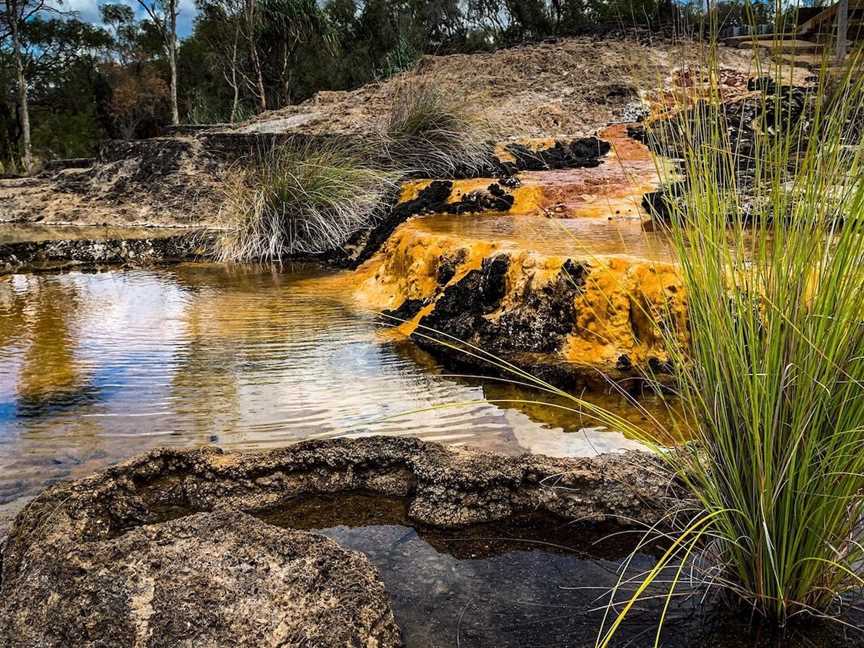 Talaroo Hot Springs Soaking Pools, Mount Surprise, QLD