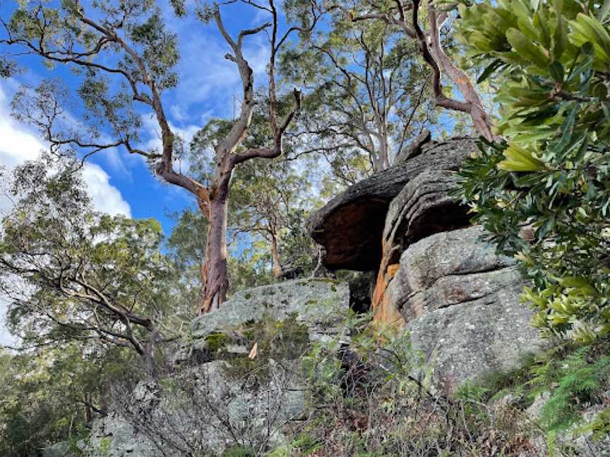 Ridge Walking Track, Picnic Point, NSW