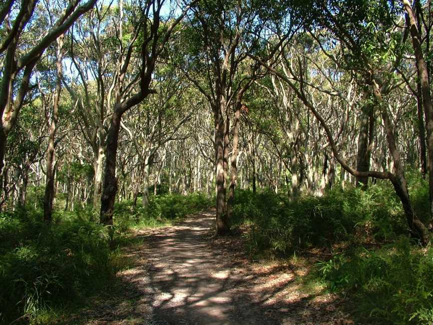 Glenrock State Conservation Area, Highfields, NSW