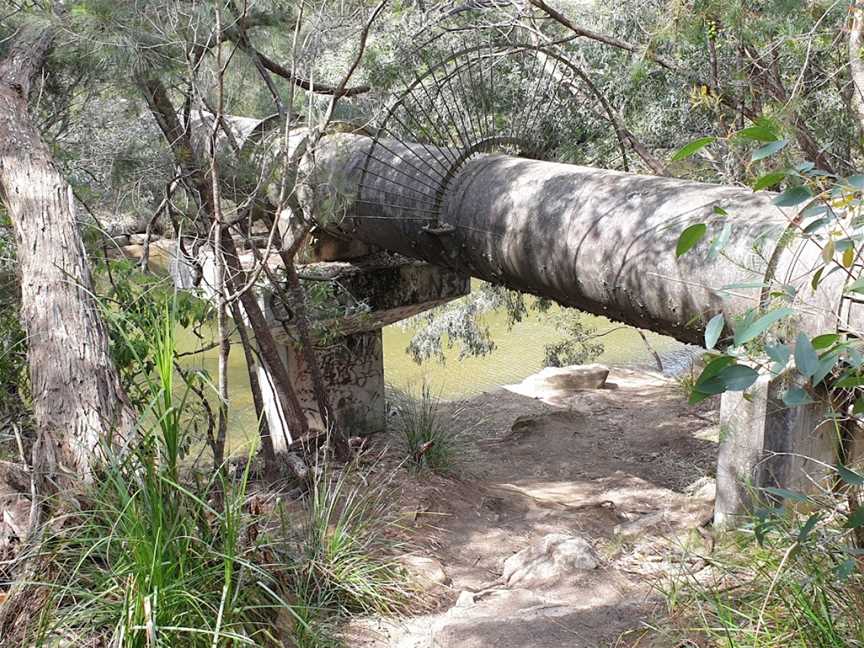 Pipeline and Bungaroo Tracks to Stepping Stones Crossing, St Ives, NSW