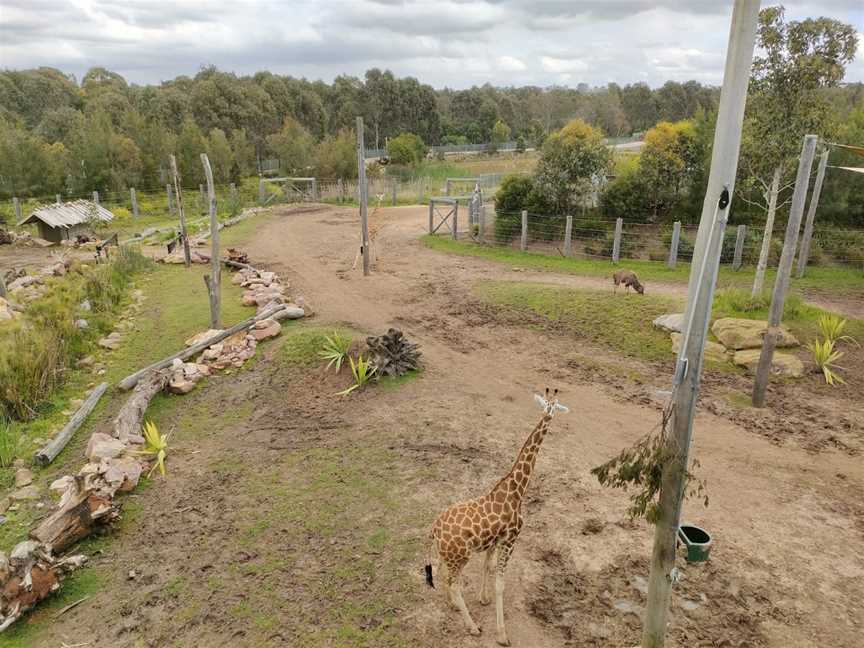 Bungarribee Park, Bungarribee, NSW