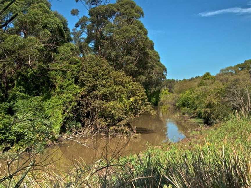 Wolli Creek Walking Track, Earlwood, NSW