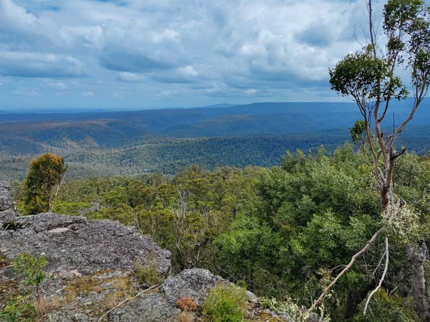 Jerrawangala National Park, Jerrawangala, NSW