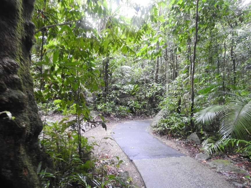 Josephine Falls, Wooroonooran National Park, Bartle Frere, QLD