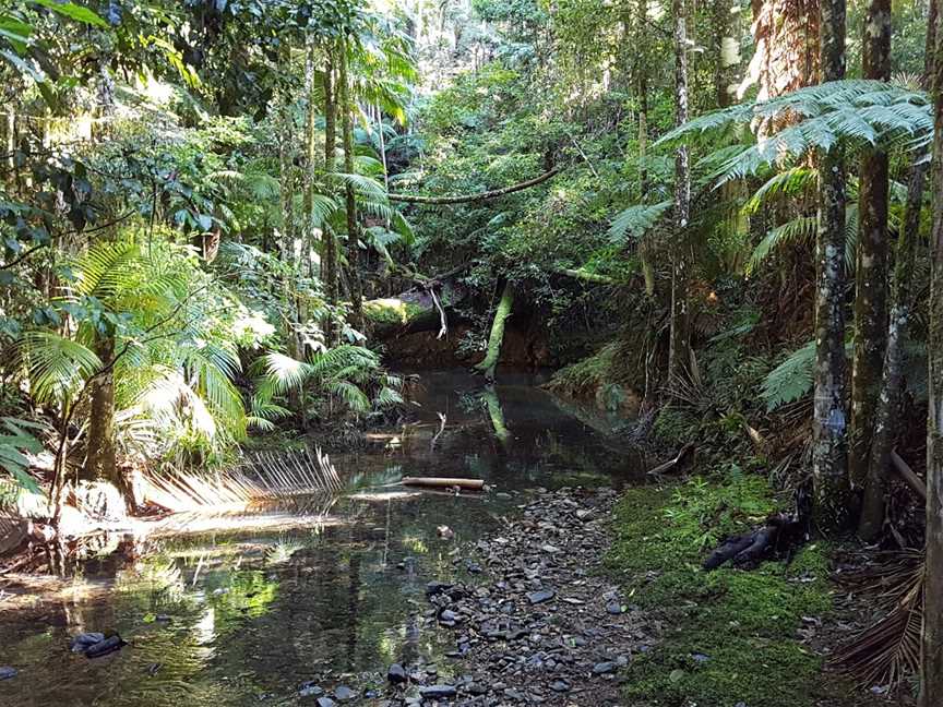 Ulidarra National Park, Karangi, NSW