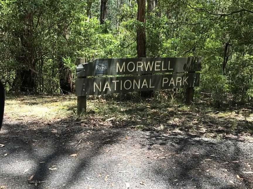 Morwell National Park, Morwell, VIC