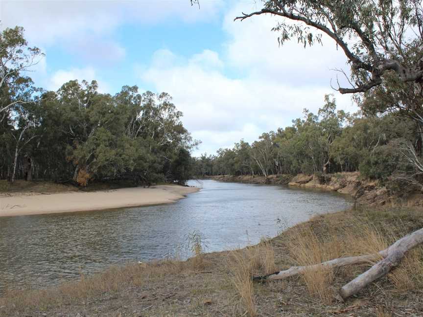 Murrumbidgee River Regional Park, Darlington Point, NSW