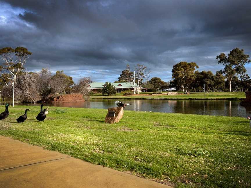 Roy Little Park Merredin, Merredin, WA