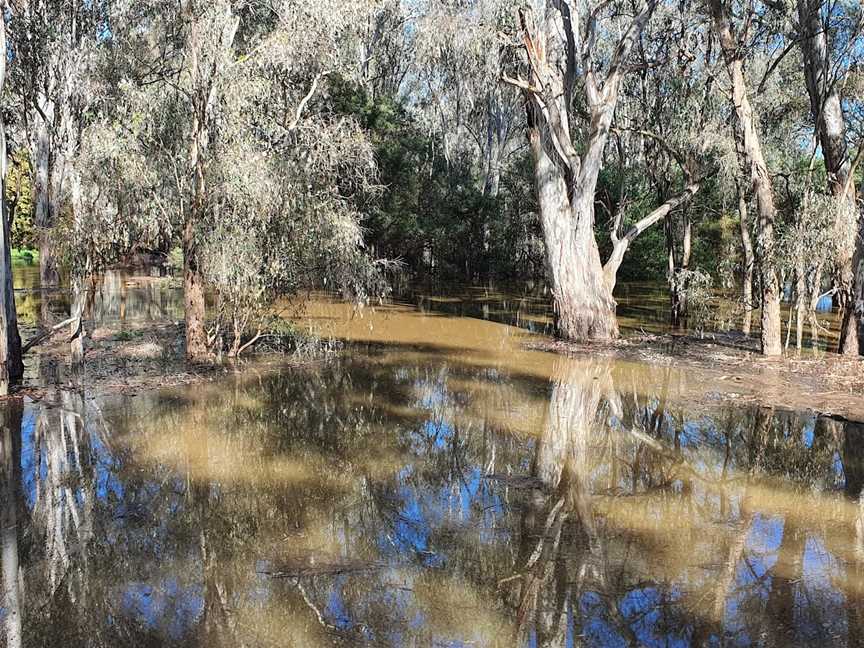 King River, King Valley, VIC