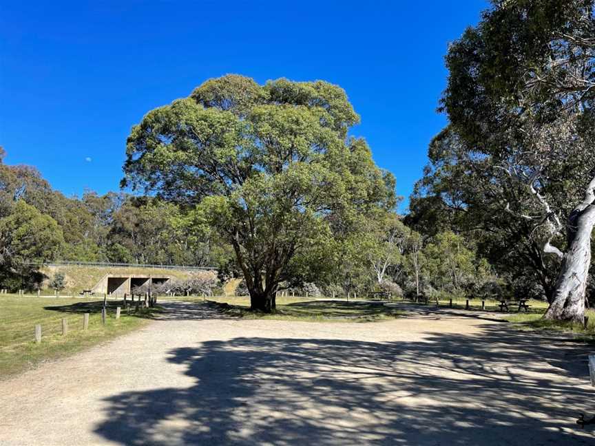 Sawpit Creek picnic area, Kosciuszko National Park, NSW
