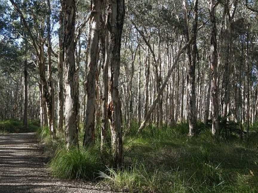 Googik Heritage Walking Track, Port Macquarie, NSW