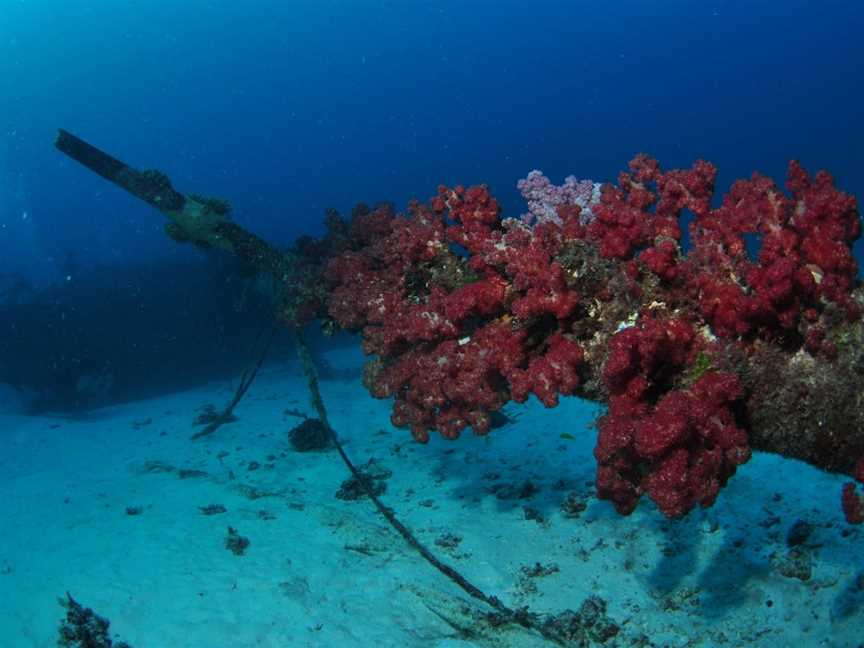 Severance Shipwreck Dive Site, Lady Elliot Island, QLD