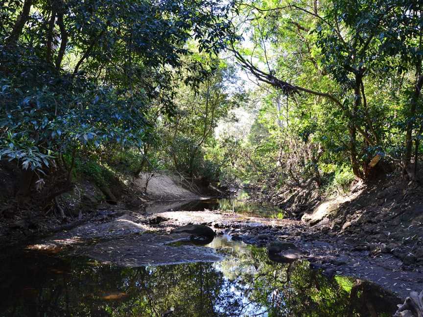 Lane Cove National Park, Chatswood West, NSW