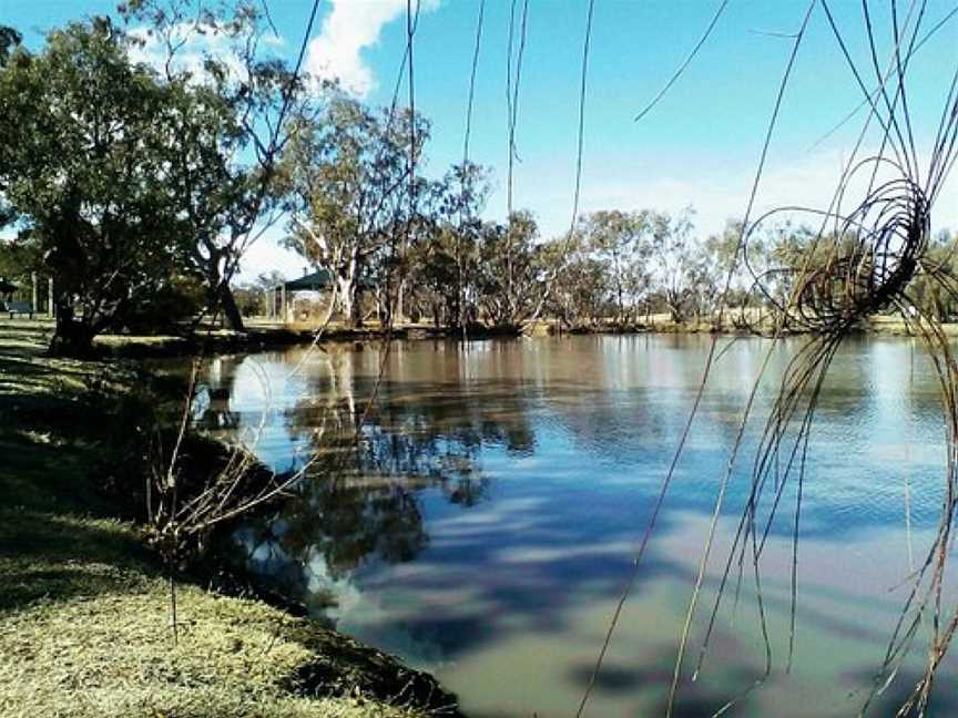 Yelarbon Lagoon, Yelarbon, QLD