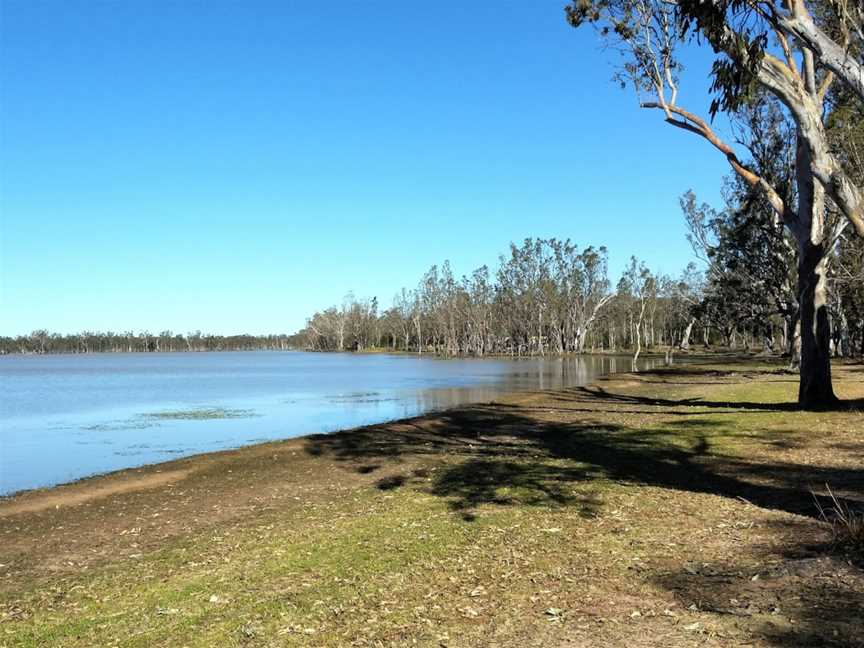 Lake Broadwater Conservation Park, Dalby, QLD