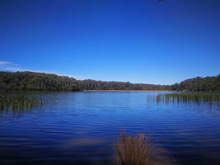 Lake Kerferd, Beechworth, VIC