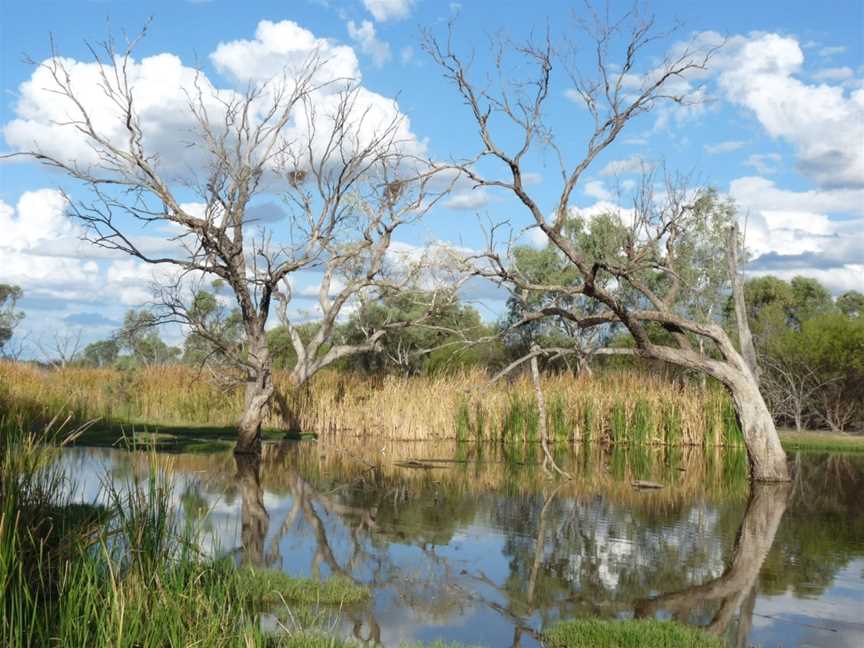 Lagoon Creek, Barcaldine, QLD