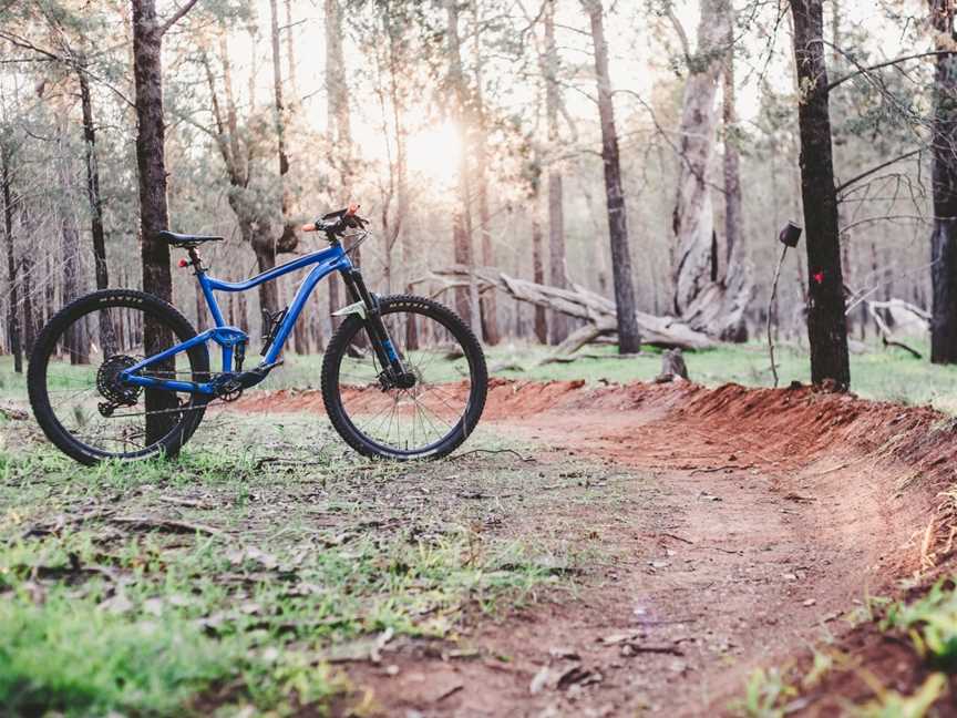 Kindra State Forest, Coolamon, NSW