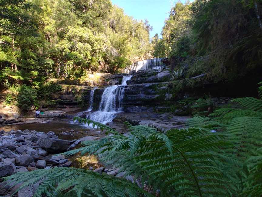 Liffey Falls, Liffey, TAS