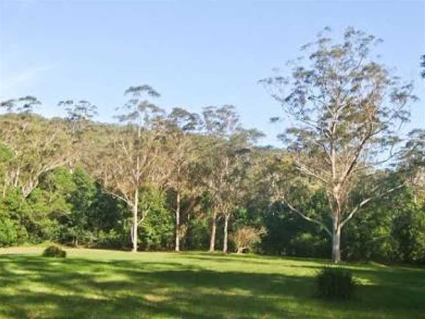 Red Cedar Flat picnic area, Lilyvale, NSW