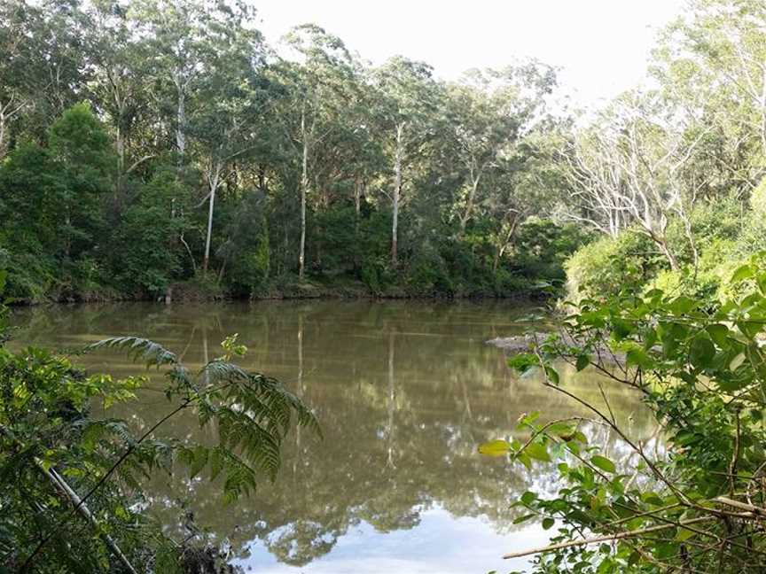 Cottonwood Glen picnic area, Lindfield, NSW