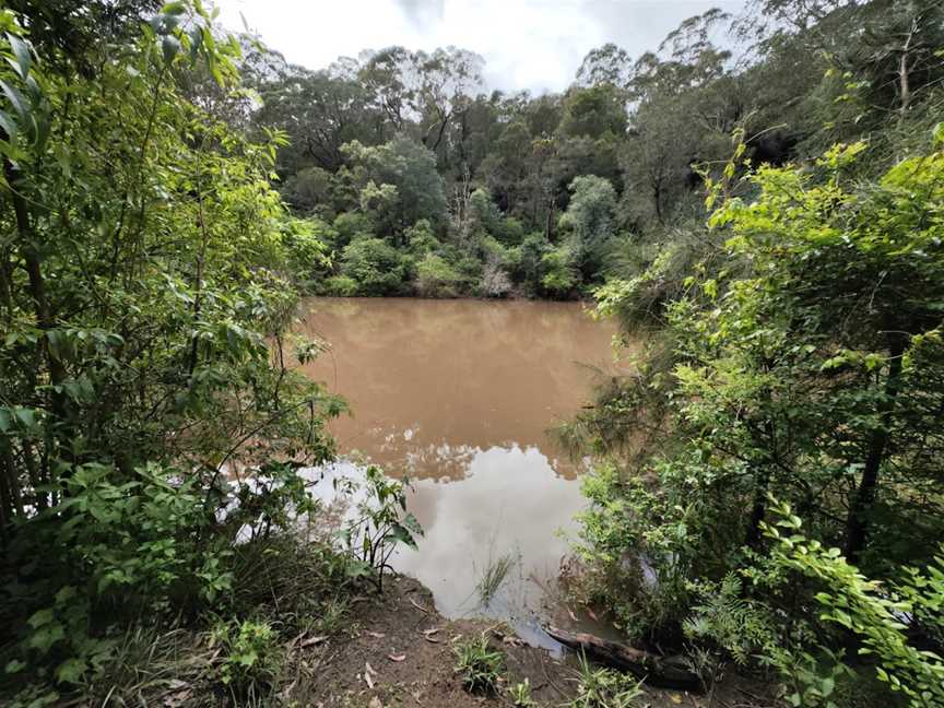 Halfway Point picnic area, Lindfield, NSW