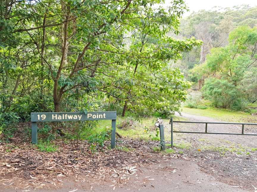 Halfway Point picnic area, Lindfield, NSW
