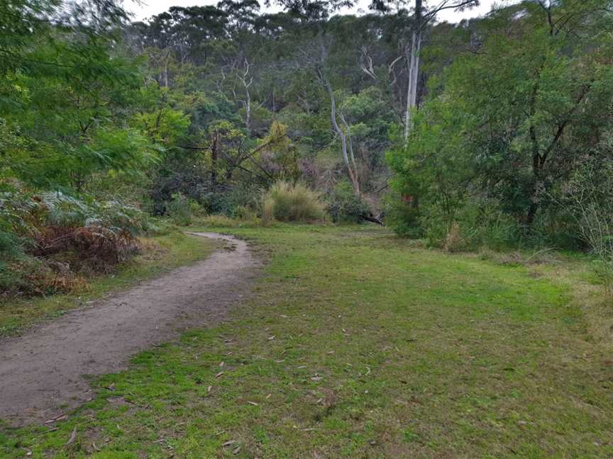 Halfway Point picnic area, Lindfield, NSW