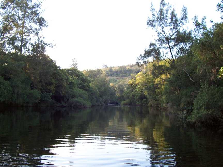 Barrington Tops National Park, Chichester, NSW