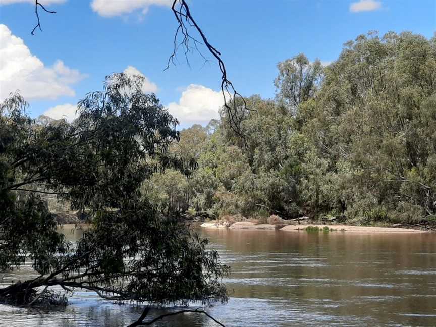Narrandera Wetlands, Narrandera, NSW