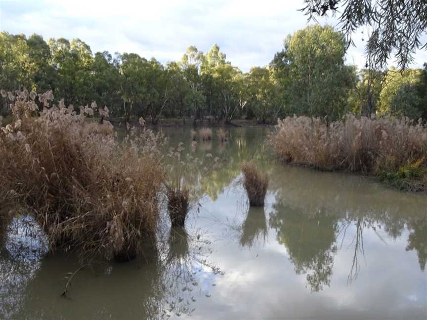 Narrandera Wetlands, Narrandera, NSW