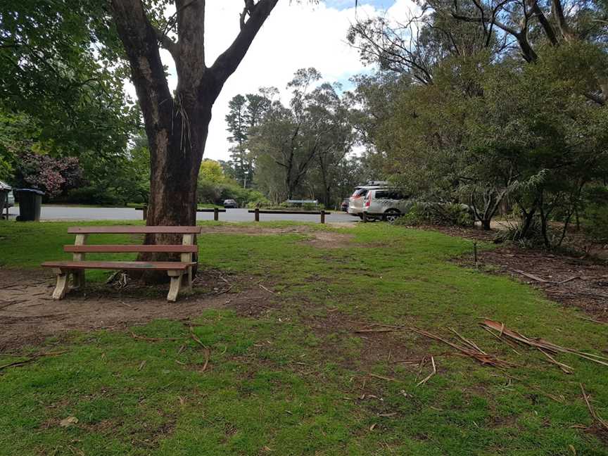 Gordon Falls lookout and picnic area, Leura, NSW