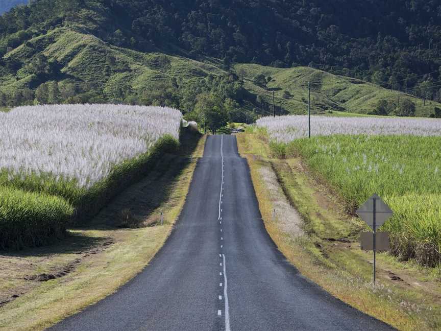 The Pioneer Valley, Eungella, QLD