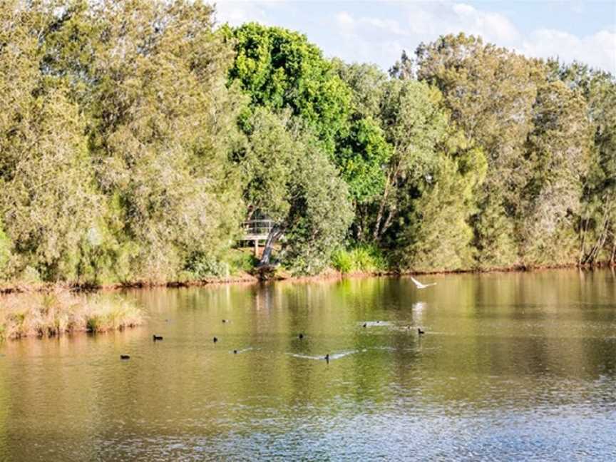 Toowoomba Water Bird Habitat, Toowoomba City, QLD