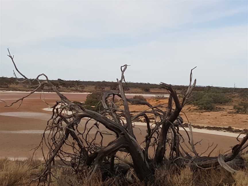 Murray-Sunset National Park, Linga, VIC