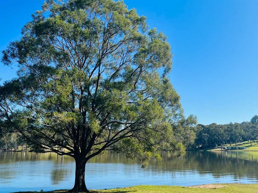 Lake Maroon, Maroon, QLD