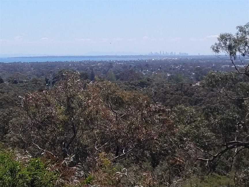 The Pines Flora and Fauna Reserve, Frankston North, VIC