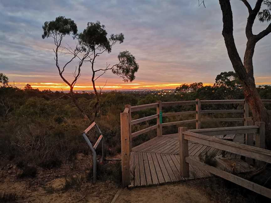 The Pines Flora and Fauna Reserve, Frankston North, VIC