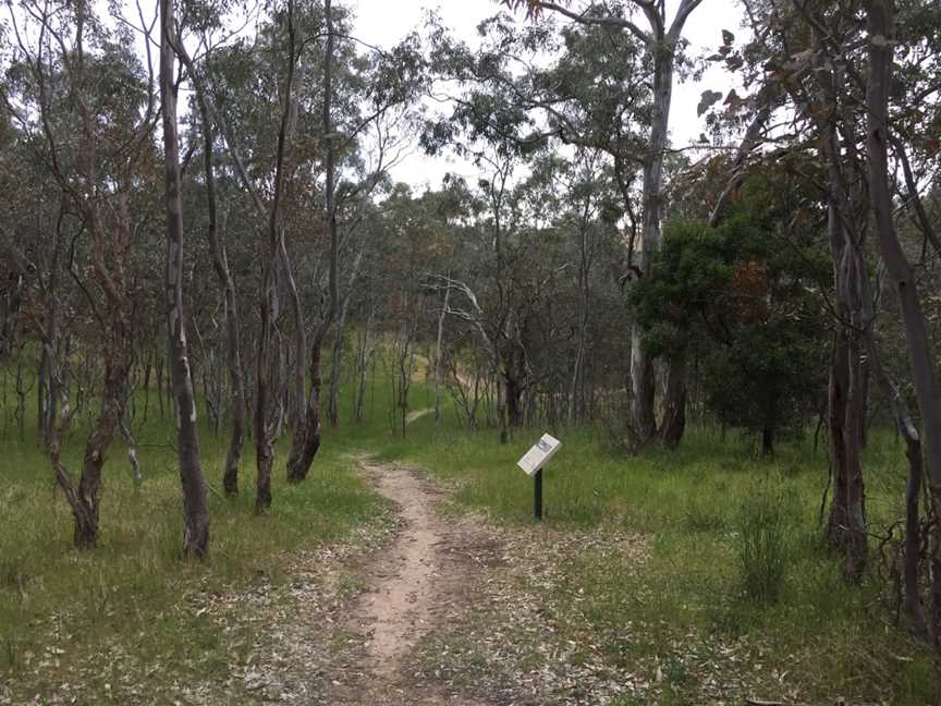 McKenzie Flora Reserve, Alexandra, VIC