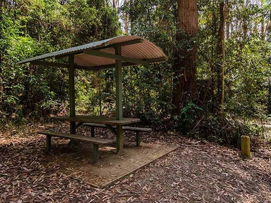 Bird Tree picnic area, Middle Brother, NSW