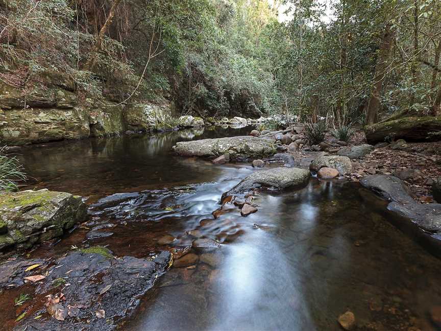 Telegherry River: Chichester State Forest, Upper Karuah River, NSW